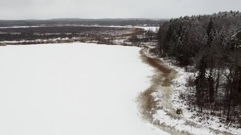 Luftdrohnenansicht-Eines-Zugefrorenen-Sees-Neben-Einem-Wald-Im-Winter