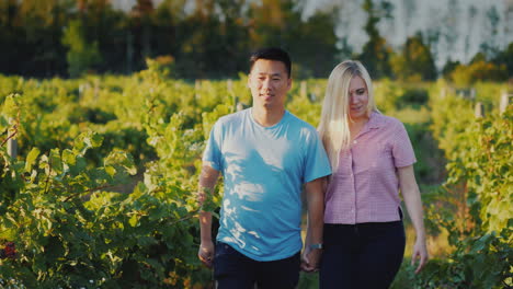 Young-Couple-Walking-In-The-Vineyard-Traveling-To-Places-Of-Wine-Production-4k-Video