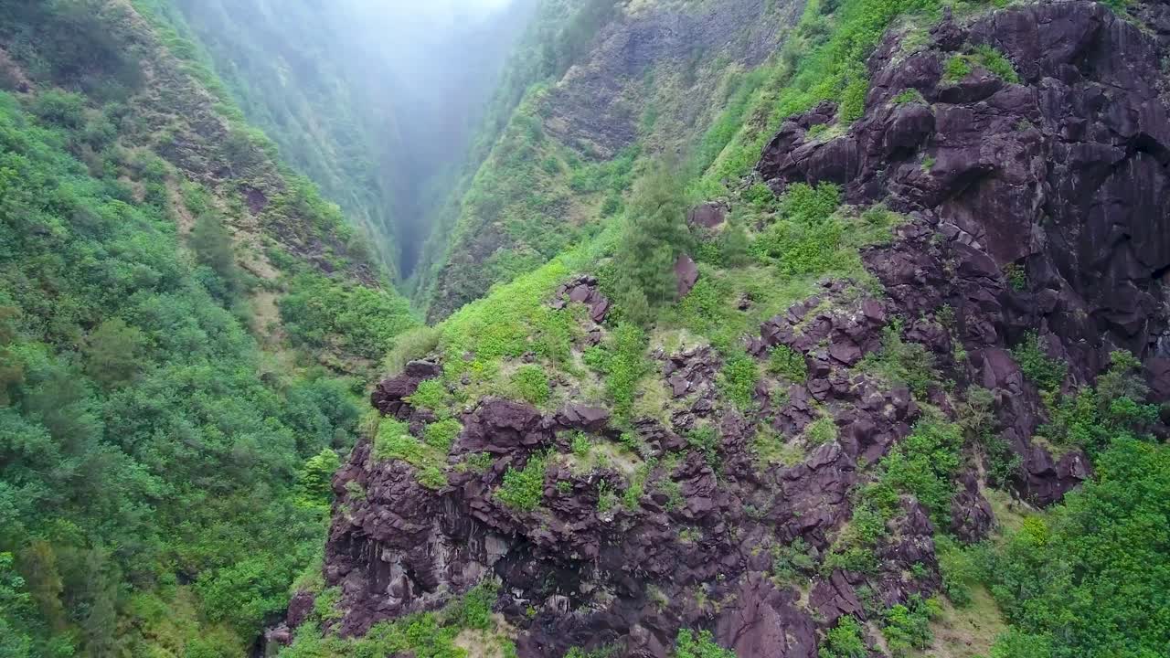 Aerial view of Iao valley with green vegetation plants seen through fog on rocky slopes of volcanic mountain, Hawaii