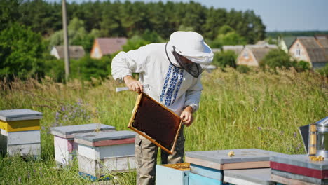 beekeeping process. professional beekeeper works on the apiary in the countryside. bees farmer in protective hat looking after bees in summer.
