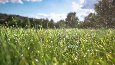 golf club hits a golf ball in a super slow motion. drops of morning dew and grass particles rise into the air after the impact.