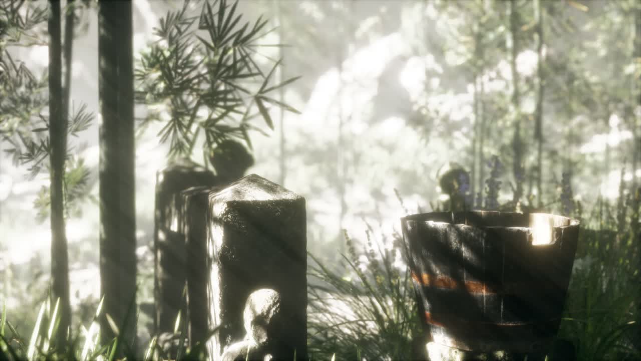 일본 대나무 숲 과 녹색 초원 잔디 와 자연 빛