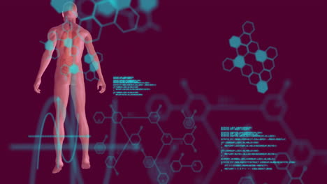 animation of data processing over digital human and chemical formula