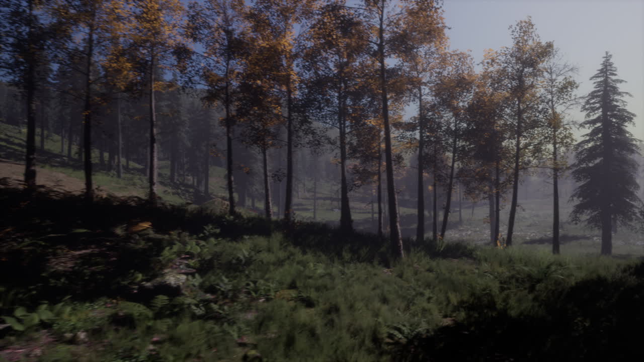 luz de la luna sobre los abetos del bosque mágico misterioso de la noche