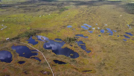 acercándonos a los lagos nigula bog en el sur de estonia