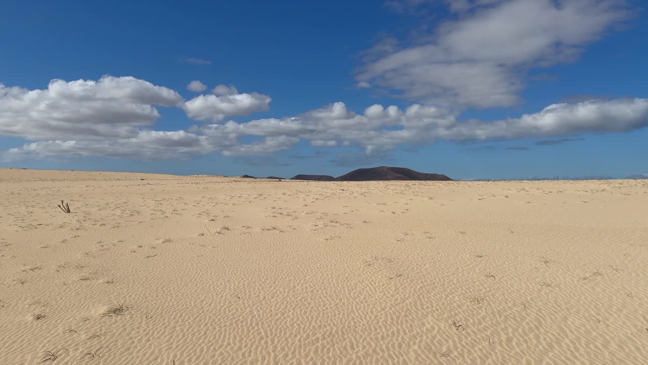 Fuerteventura, Kanarya Adaları, İspanya'da parlak mavi bir gökyüzünün altında uzanan geniş bir altın kum şeridi - Panoramik Çekim
