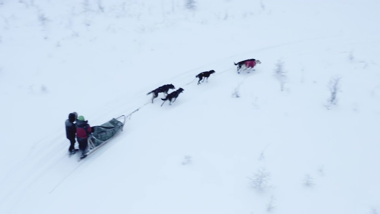 Primo piano dall'alto di due persone che fanno sleddog nell'Artico