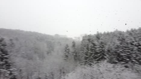 bandada aérea de pájaros volando sobre el bosque negro nevado, paisaje invernal