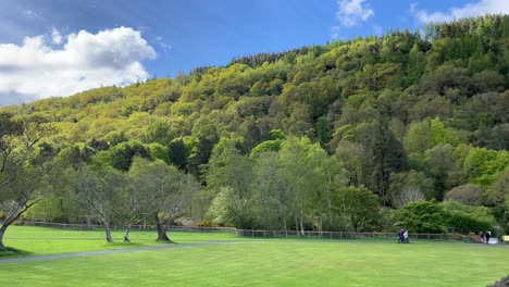 아일랜드 글렌달로프(glendalough)의 화창한 날 삼림 언덕의 파노라마