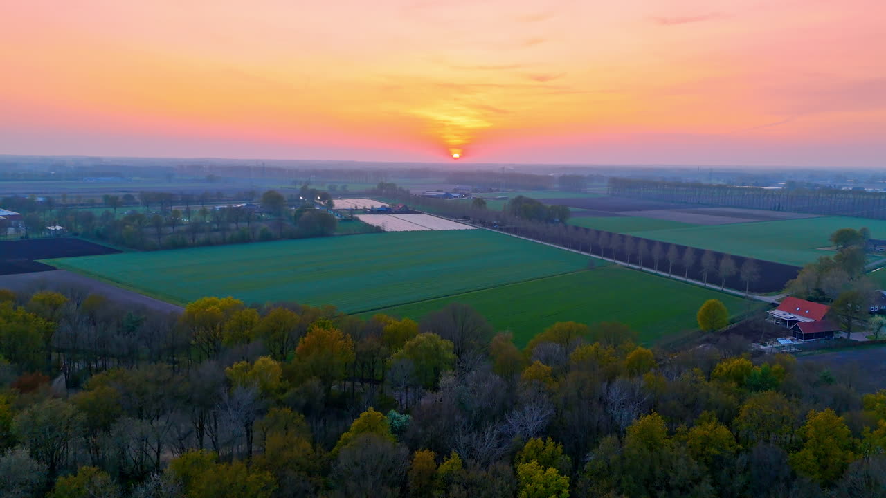 Spring sunset in Dutch fields. The sun sets over the vibrant green fields and forested areas of the Netherlands, showcasing nature's colors