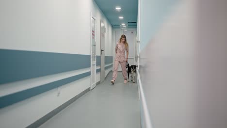 side view of a confident girl in a pink uniform escorting a black dog to its owner in a veterinary clinic. girl veterinarian with a black dog in the clinic