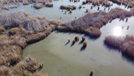 Lagoon-at-Mediterranean-sea,-aerial-Albufera-Natural-Park,-Valencia-Spain