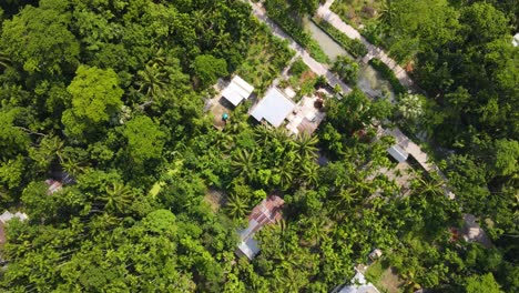 Pequeño-Pueblo-En-Medio-De-Un-Denso-Bosque-En-África.