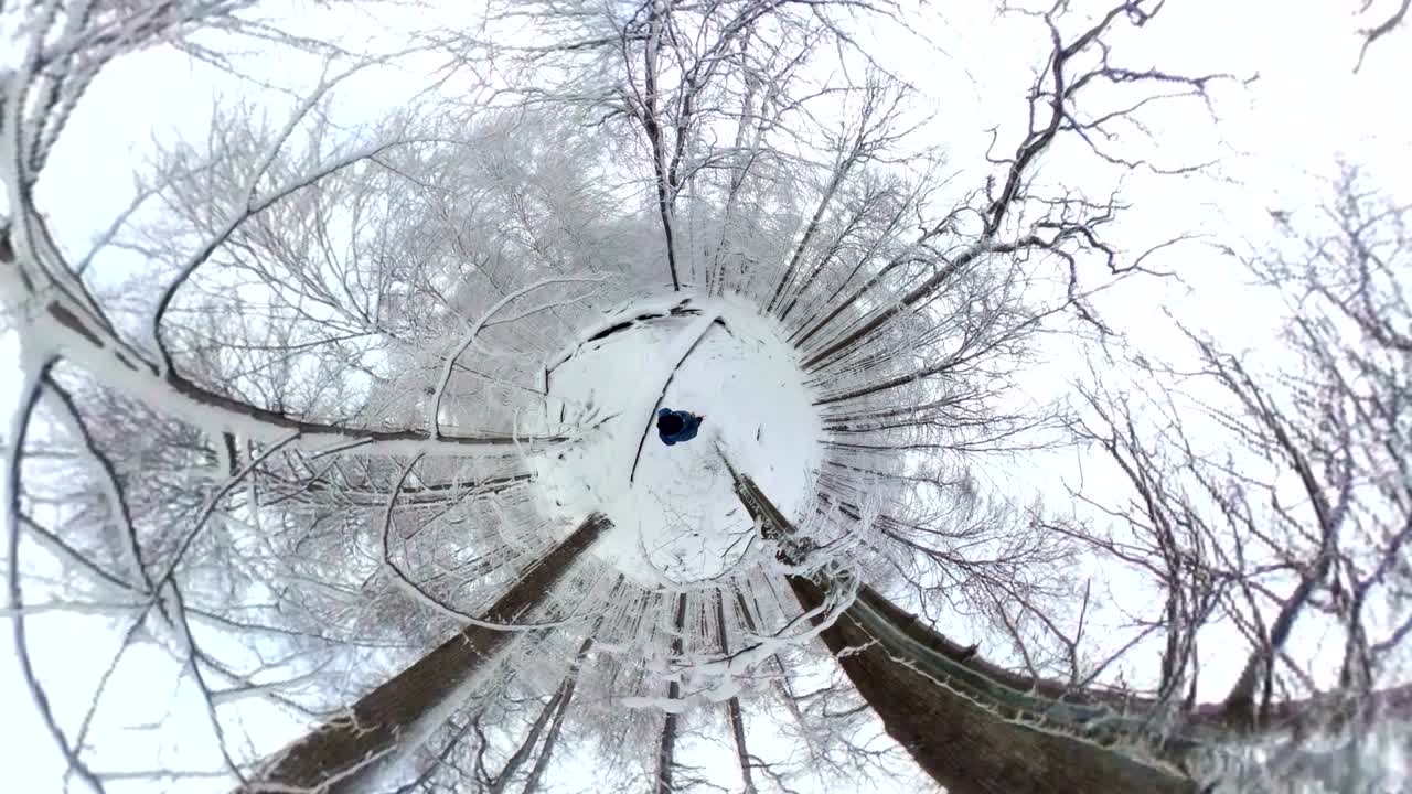 아름다운 겨울 숲을 고 있는 남자, 360도 vr, 작은 행성 효과