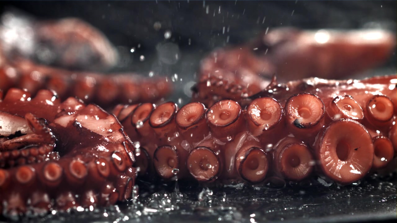 Acqua che schizza su tentacoli di polpo freschi al rallentatore