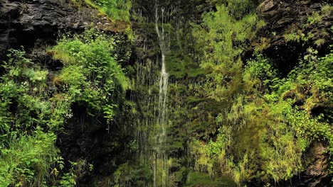 clean small waterfall in the forest. beautiful nature norway natural landscape.