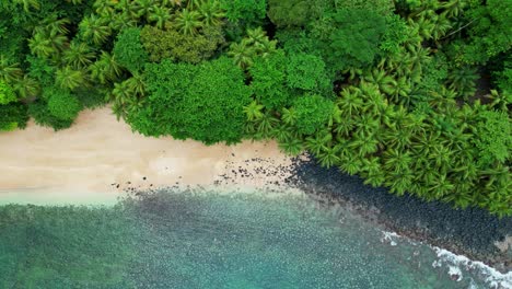 bird's eye view of banana beach and the island's coast in ilha do principe (prince island) sao tome,africa