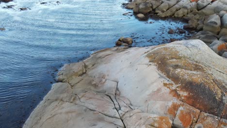 Drone-aerial-glossy-blue-ocean-and-red-bay-of-fires-Tasmania-pan-up