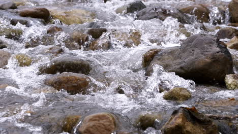 corriente clara que corre a través de rocas de piedra río abundante que fluye en cámara lenta