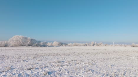 冬天鄉村風景的空中拍攝, 雪覆蓋的田園和樹木, 寒冷的凍結天氣, 陽光明<unk>的冬天, 藍天, 寬<unk>無人機拍攝向前移動低