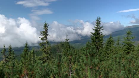 Una-Hermosa-Vista-Amplia-De-Pinos-Altos-Con-Cielo-Azul-Nublado-En-La-Alta-Montaña-Tatras-En-Eslovaquia---Toma-Aérea