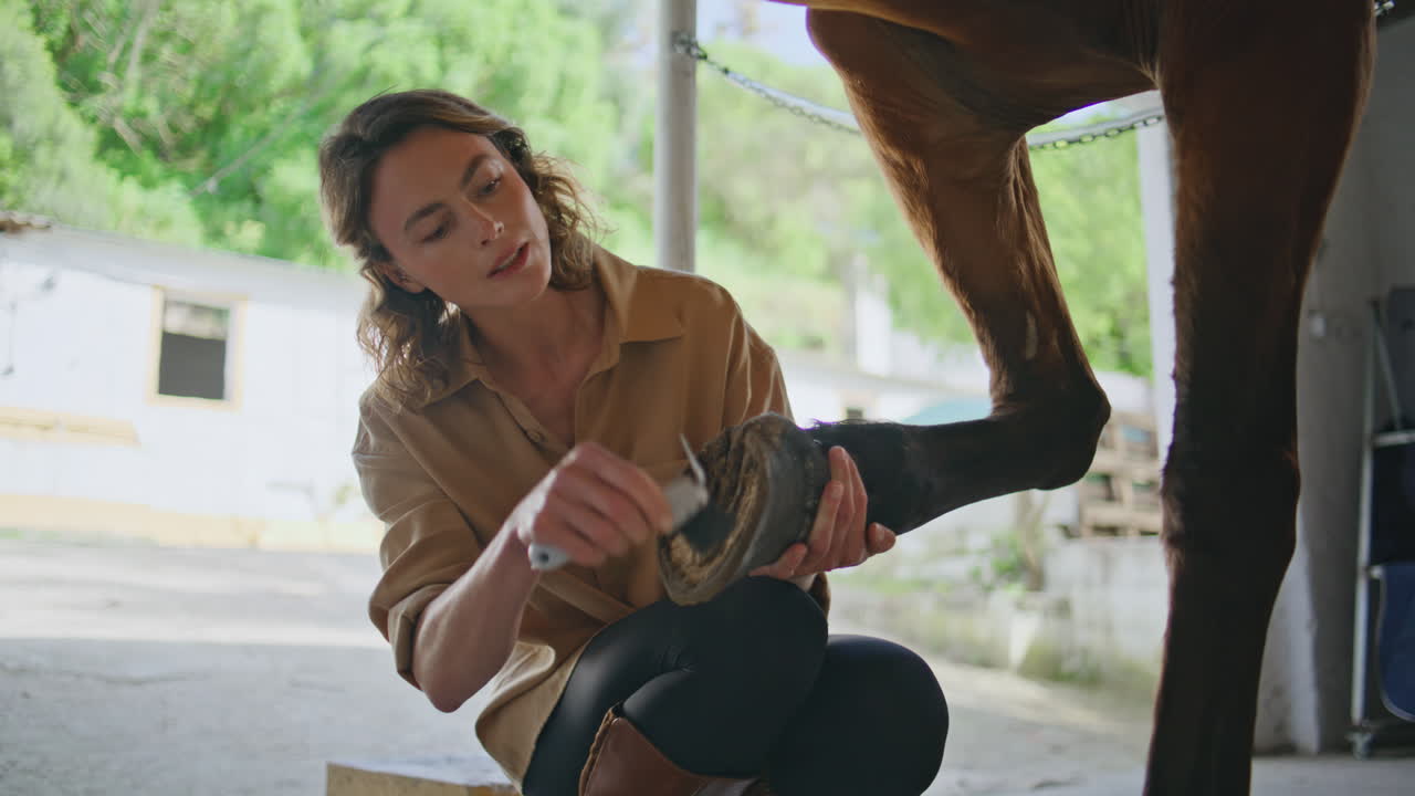 Equestrienne cleaning horse feet in stable. Jockey lady removing dirt from hoof