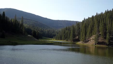 Tilt-rotating-shot-of-a-stunning-nature-landscape-view-of-Anderson-Meadow-Reservoir-up-Beaver-Canyon-in-Utah-with-a-field-of-grass,-large-pine-trees-on-all-sides-and-clouds-on-a-warm-sunny-summer-day