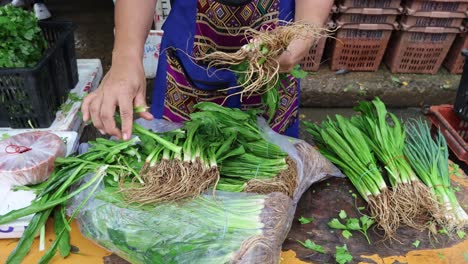 person bundling fresh coriander at a vegetable market