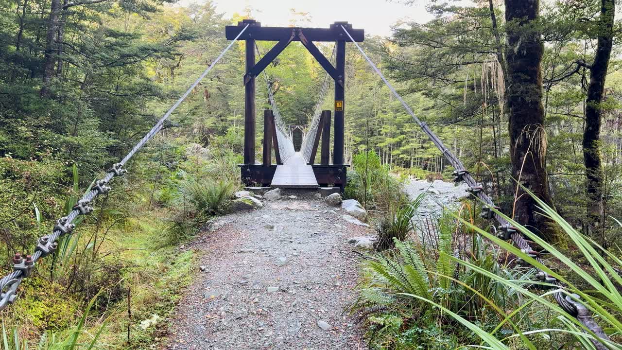 A serene walk along a forest trail leading to a wooden bridge, surrounded by dense greenery and natural light