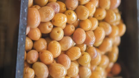 primer plano de las aceitunas en conserva