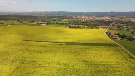 Aerial-photography,-drone,-bird's-eye-view