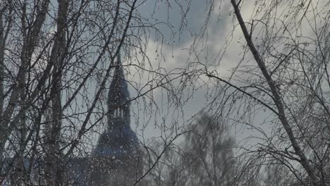 Drops-on-birch-branches,-in-the-background-a-church-is-visible-behind-the-branches