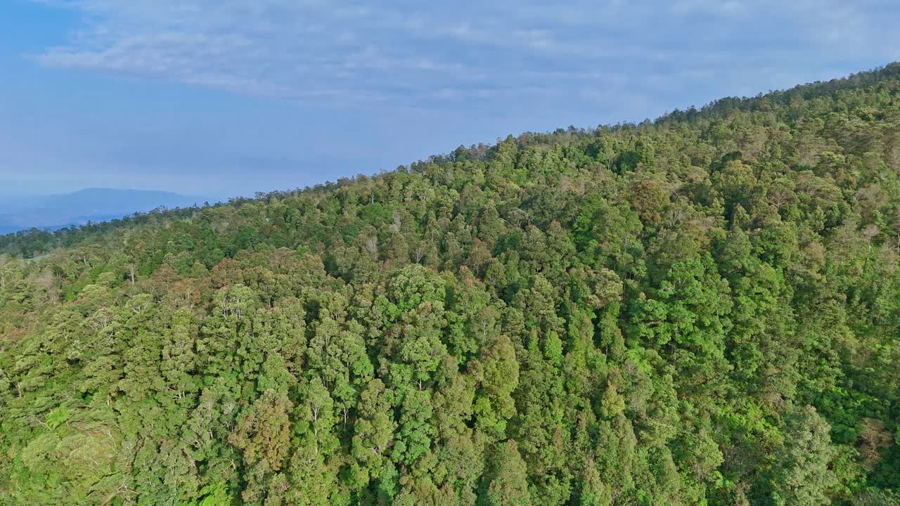 The green forested slopes of Mount Sumbing in Indonesia. Aerial view.