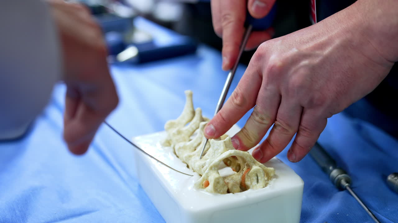 Metal tools is applied to make a hole in the dummy of spine. Demonstration of neurosurgery. Close up.