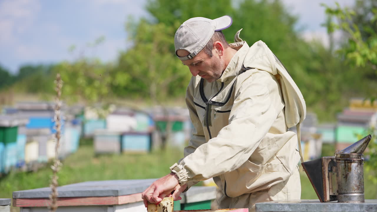 Bearded man in protective outfit taking frames out of hive. Man uses metal tool to extract frames. Blurred nature backdrop.