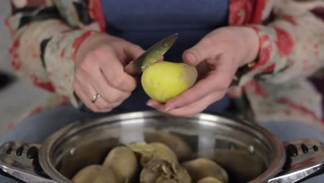 slowly peeling potato veggie for home cooking meals