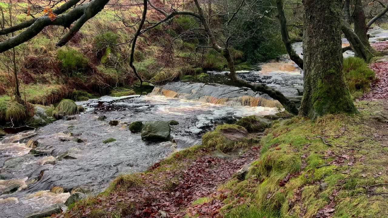 arroyo de río manchado de turba de páramos filmado durante una tormenta de lluvia