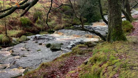 moorland peat stained river stream filmed during a rain storm