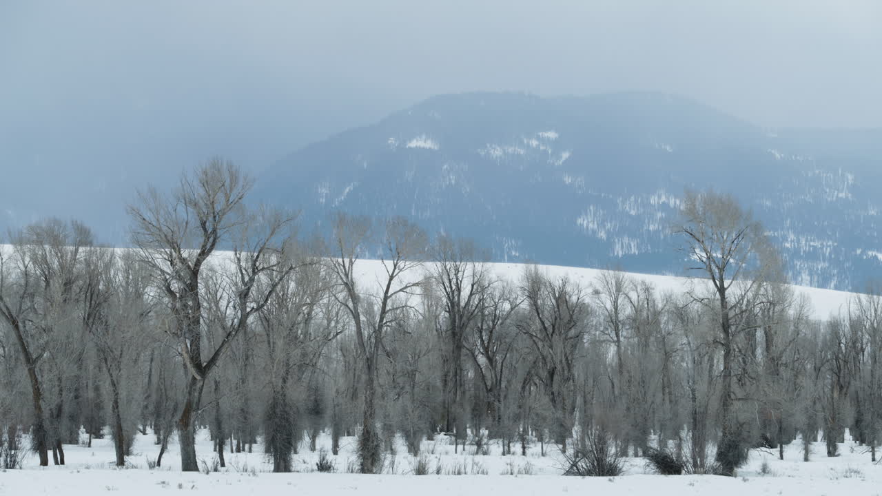 Dark storm clouds over mountains and trees in western Wyoming.  Shot in 4K