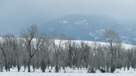 dark storm clouds over mountains and trees in western wyoming.  shot in 4k