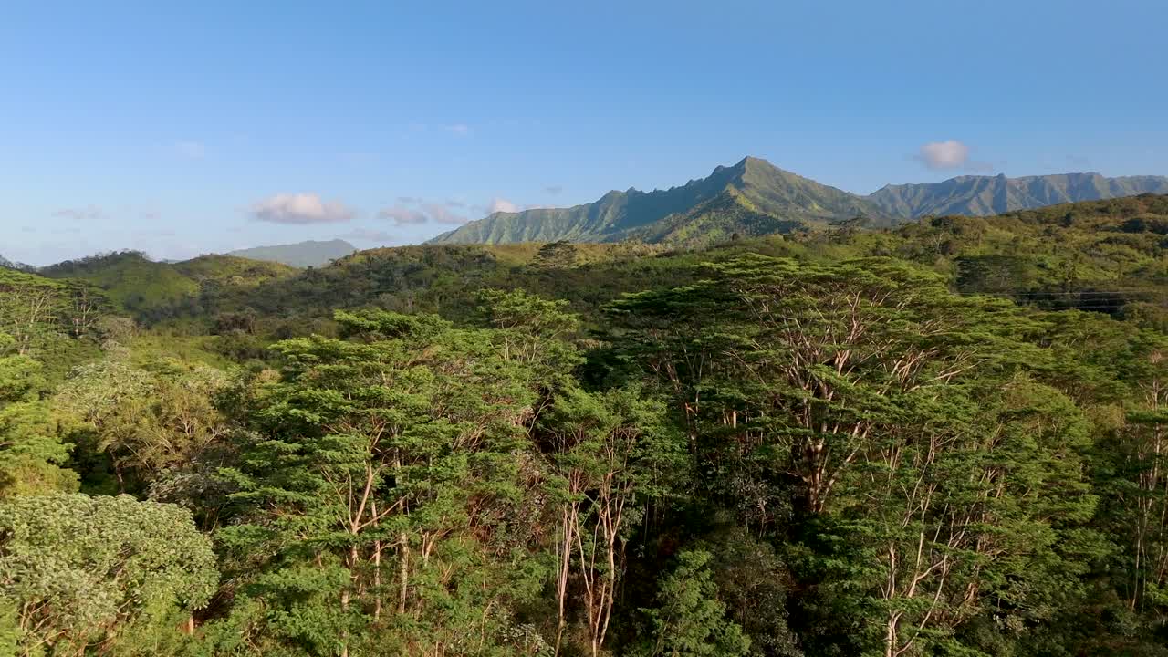 4K CGI aerial drone view of Kauai’s rugged ranchlands—perfect for showcasing Hawaii’s expansive landscapes, rural beauty, and natural wilderness.