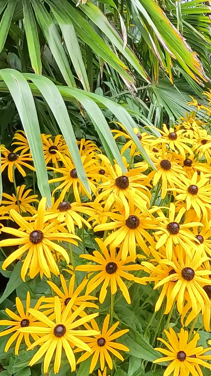 Giardino tropicale con fiori giallo brillante