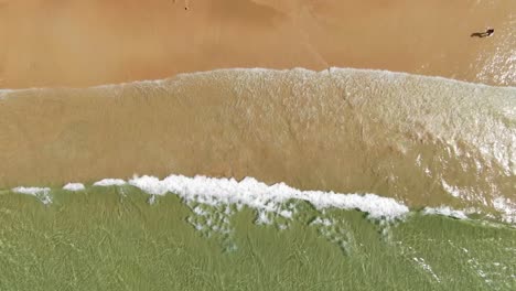 olas en la playa desde arriba