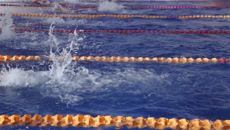 niños haciendo una carrera de natación de estilo libre