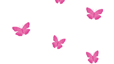animación de las mariposas rosas volando