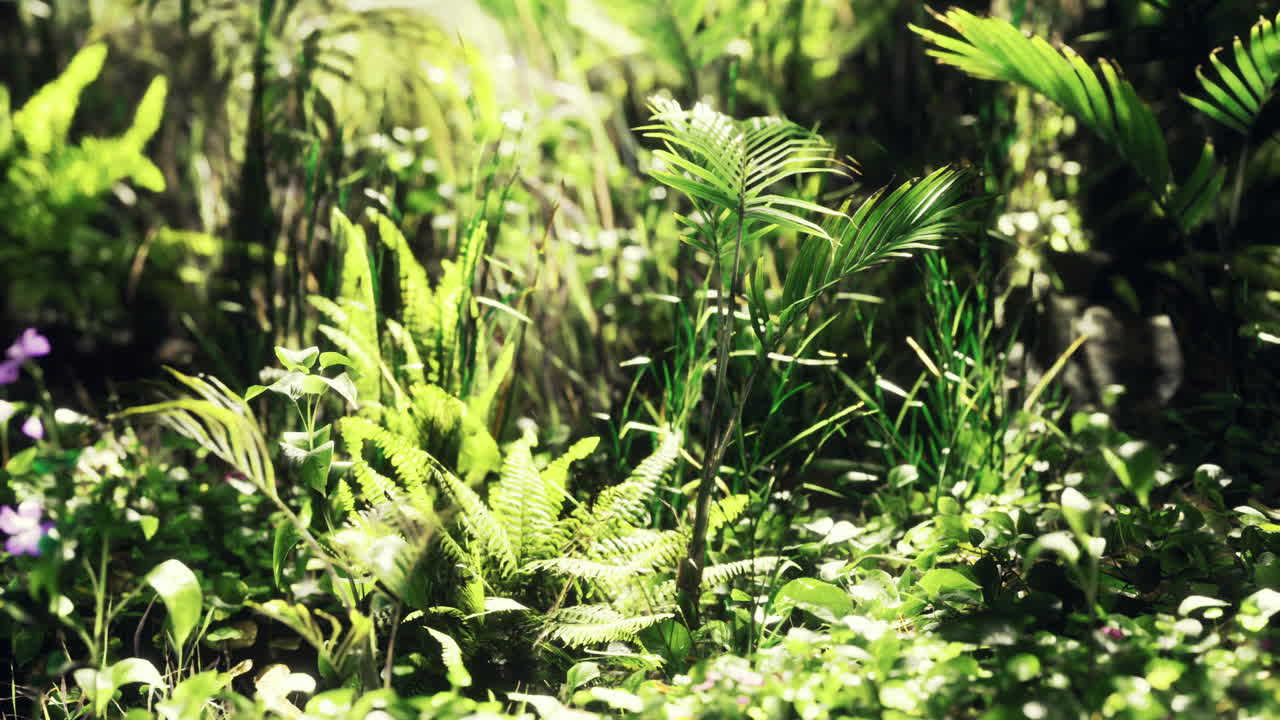 Lush green foliage thriving in a vibrant tropical forest ecosystem