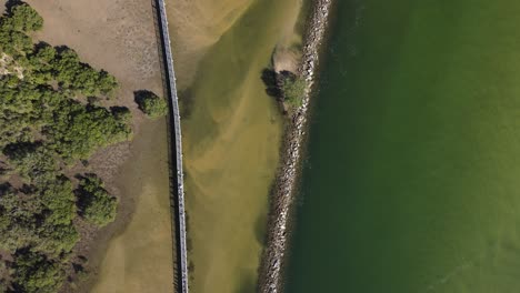 Umweltfreundlicher-Und-Rollstuhlfreundlicher-Holzsteg-Entlang-Des-Bellinger-River-Und-Der-Feuchtgebiete