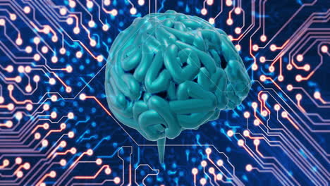 animation of human brain and data processing over circuit board