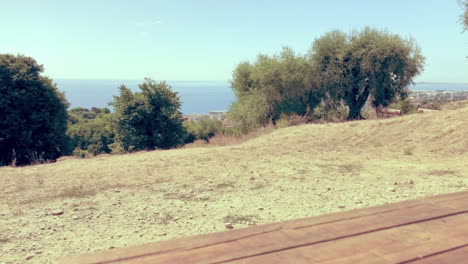vacaciones en nizza