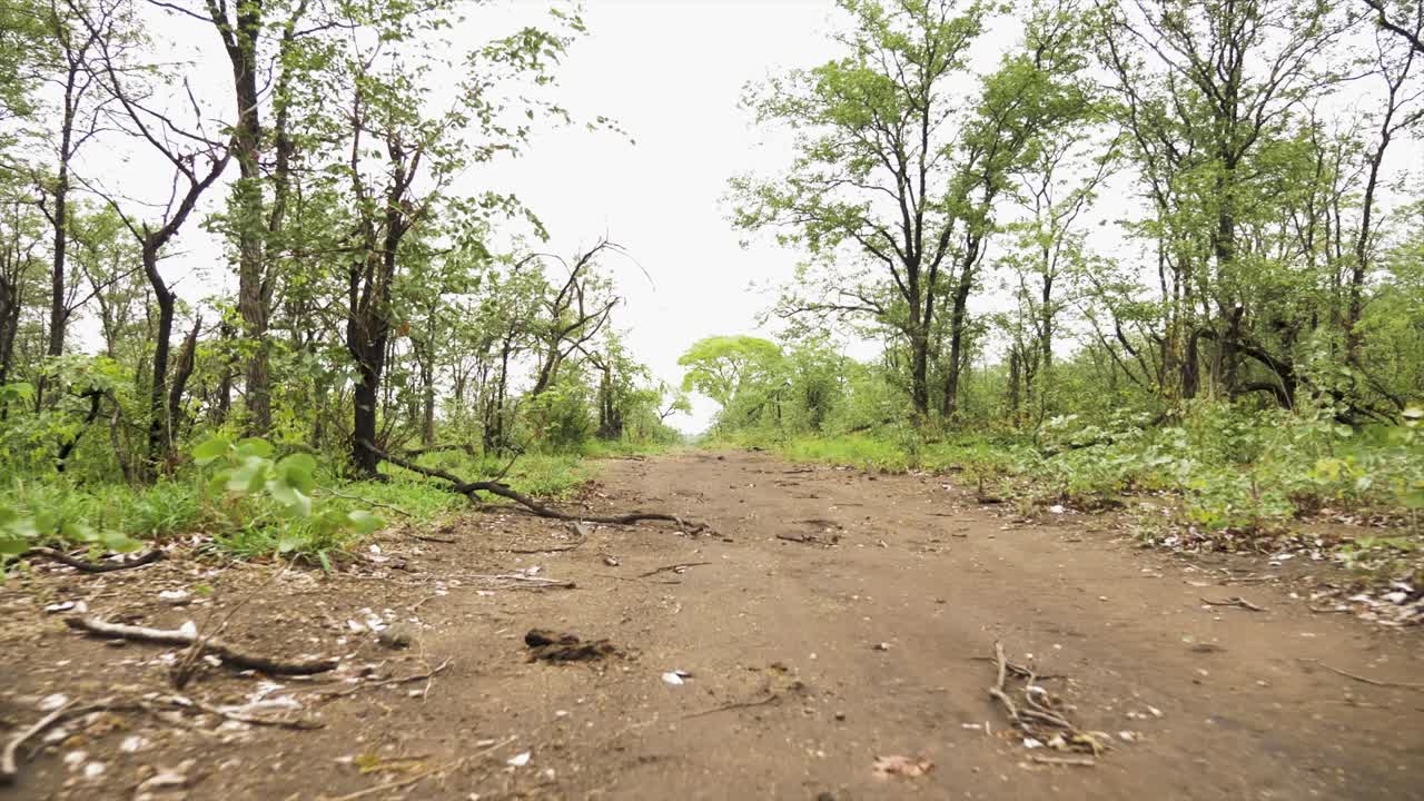 지상에 가까운 아프리카 덤불을 통해 먼지가 많은 길을 여행하다